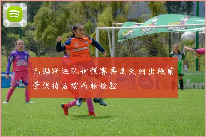 巴勒斯坦队世预赛再度失利出线前景仍待后续两轮检验