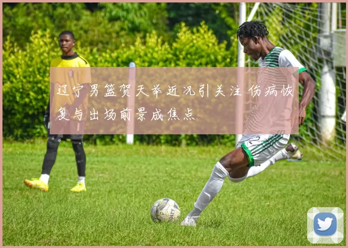 辽宁男篮贺天举近况引关注 伤病恢复与出场前景成焦点