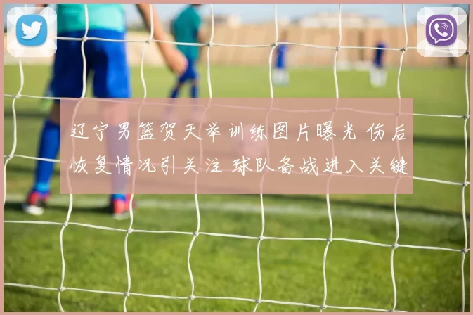 辽宁男篮贺天举训练图片曝光 伤后恢复情况引关注 球队备战进入关键阶段